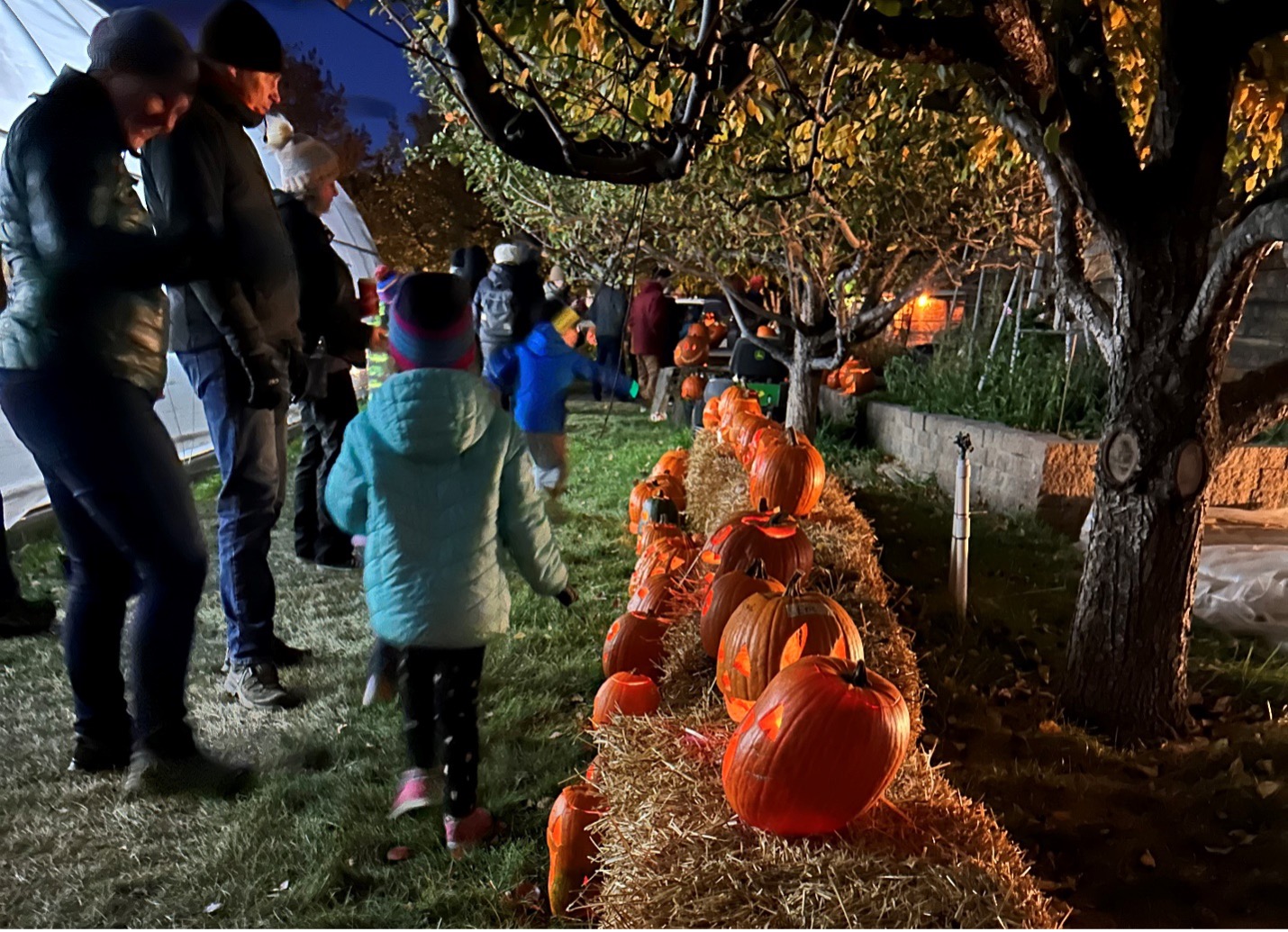 Gardengate's visitors at Pumpkins of Light Festival, Kamloops, Oct 26th, 2023. 
