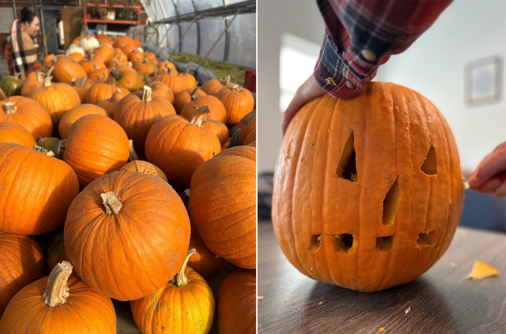 Gardengate's harvested pumpkins and a a pumpkin being carved for the Event at Gardengate Kamloops, Oct 26th, 2023. 